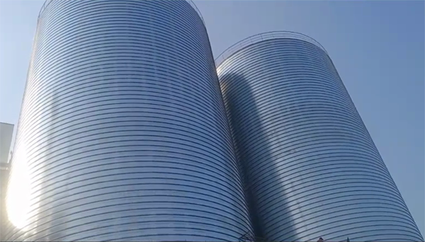 潜山2座混凝土高架卷板仓